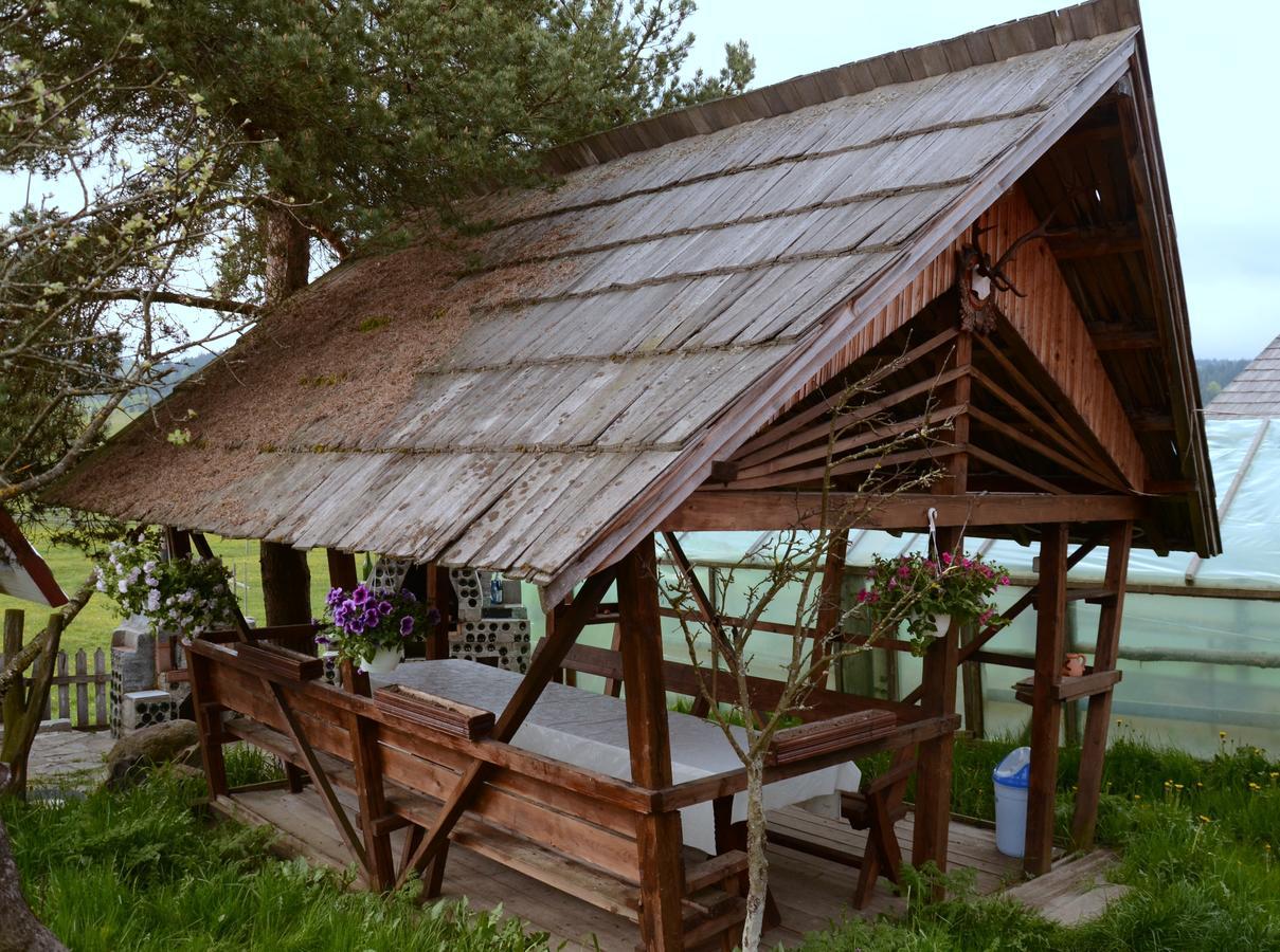 Casa Florea Poiana Stampei Exterior photo