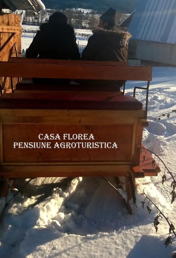 Casa Florea Poiana Stampei Exterior photo